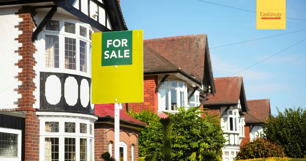 How ArtPakk Can Help You When Moving Home: The Smart, Sustainable Alternative to Bubble Wrap